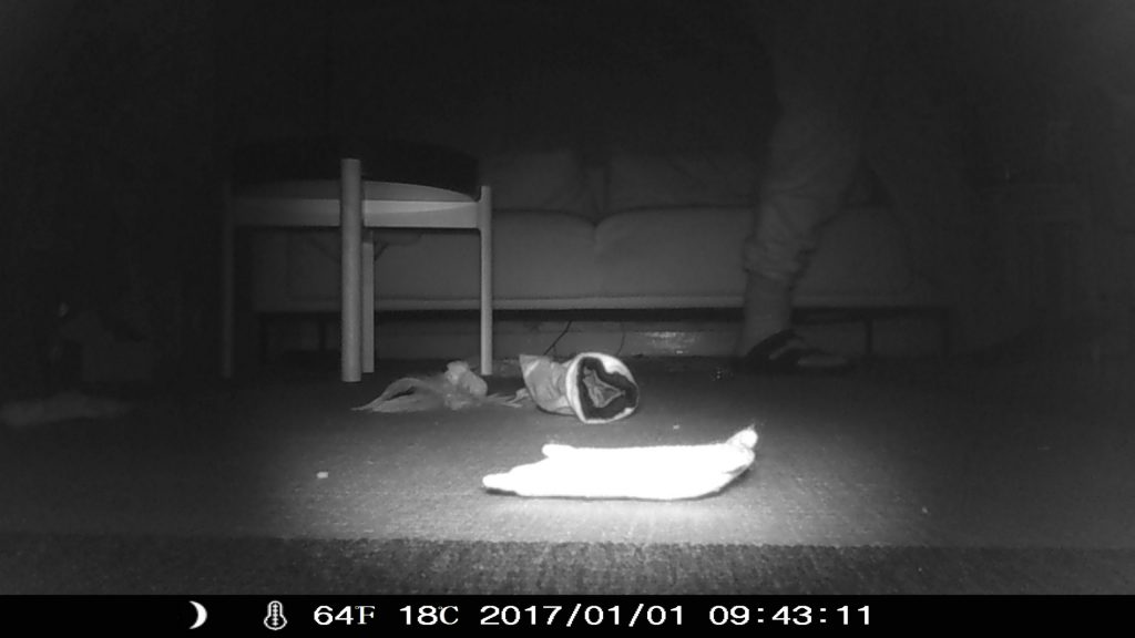 Black and white nightvision still taken on a floor, in the foreground is socks and detritus on the floor. There is a round coffee table, and the legs of a figure walking out of frame. In the background is a sofa.