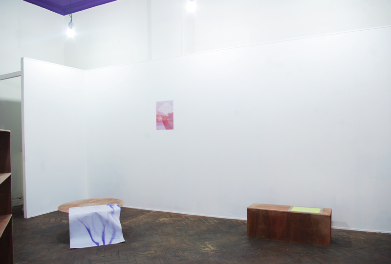 Empty looking white gallery with a parquet floor and a pink picture on the wall. In the front of this is  is a squat circular platform with a textile hanging off it. To the side of this is a rough dark plywood rectangular bench with paper and glass on it.