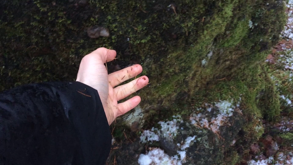 a hand moist with grass caresses a moss and snow covered rock 