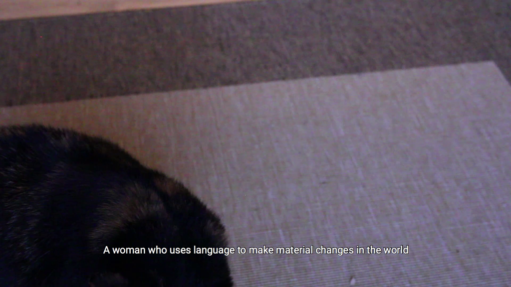 A rug with part of a cat in the bottom corner with the caption 'A woman who uses language to make material changes in the world'