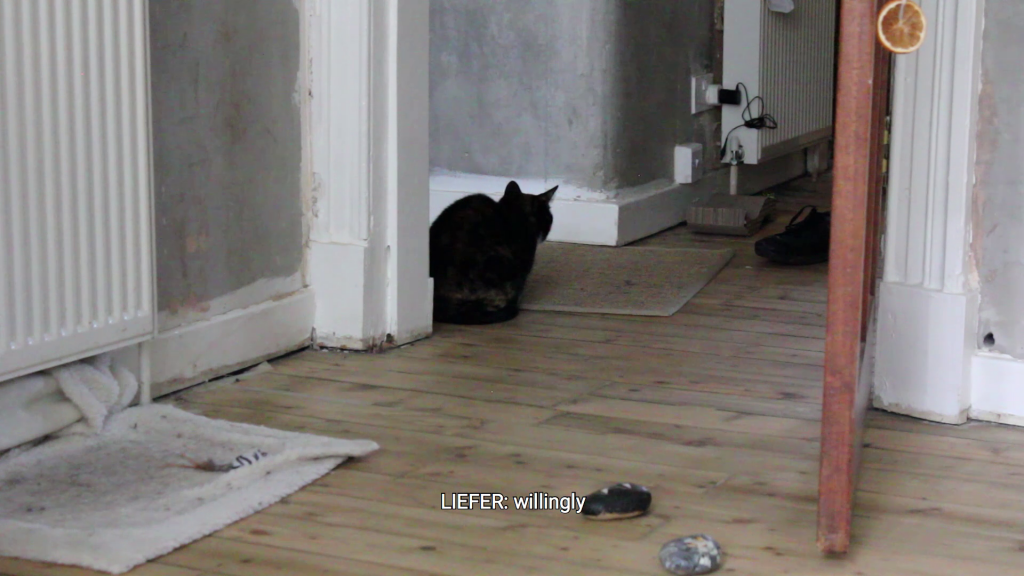 a cat sat with it's back to the viewer in a doorway with the caption 'LIEFER: willingly'