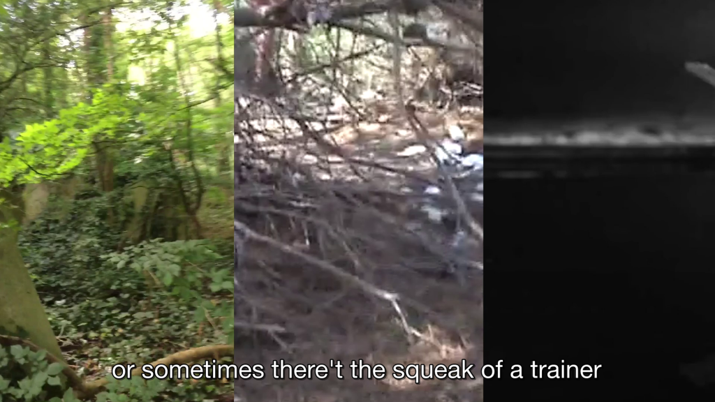 screen in thirds with green forest, wooden branches, blurry black, the caption reads 'or sometimes there't the squeak of a trainer'