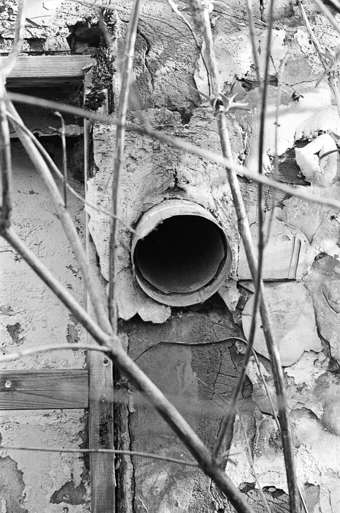 Black and white 35mm photograph of a plastic pipe coming out of a roughly constructed wall with out of focus branches in the foreground.