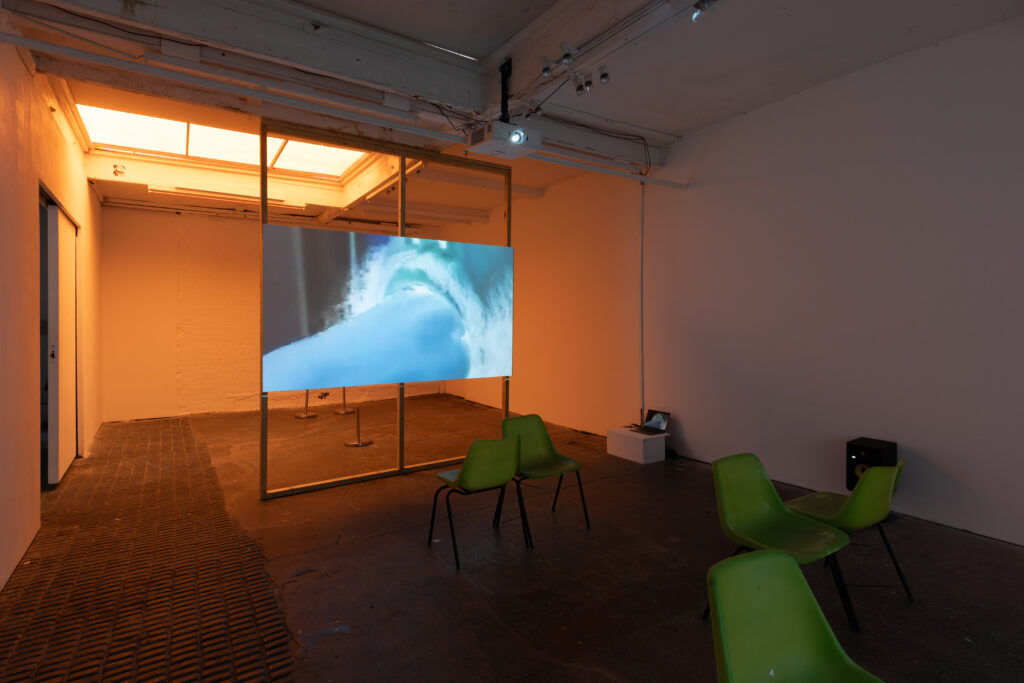 Installation image of a white gallery with a large screen splitting the space into two. In the foreground are green chairs tied together like loveseats. On the screen is a blue inverted image of a fist going into a bearded mouth.