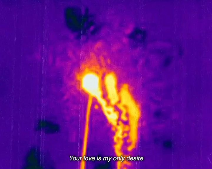 Bright orange and yellow shapes, appearing like a stream and a pooling, against a purple background in a thermal image. Caption reads ‘Your love is my only desire’.
